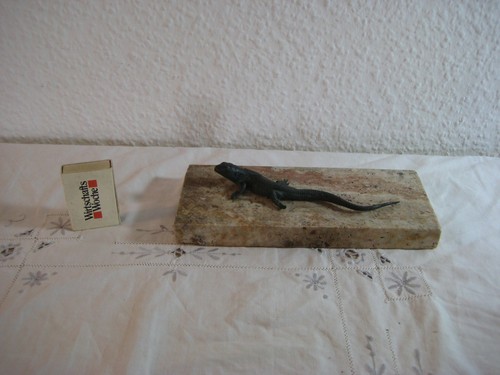 Bronze eidechse tier - bronze,