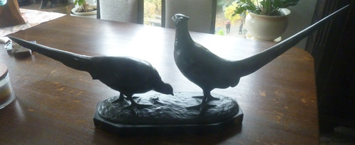 Fasanen bronze auf - bronze,